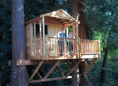 clubhouse in a tree