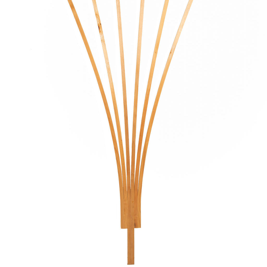 cedar fan trellis by cedarshed